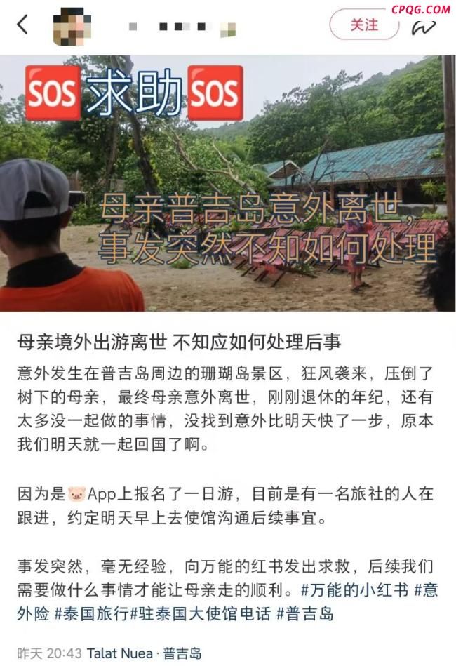 中国游客泰国被树砸身亡 家属发声