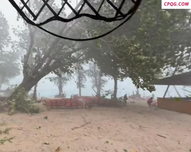 中国游客泰国被树砸身亡 家属发声 求助处理后事