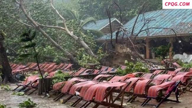 中国游客泰国被树砸身亡 家属发声 求助处理后事
