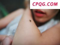 广东顺德出现基孔肯雅病毒：毒性如何？如何正确防治？