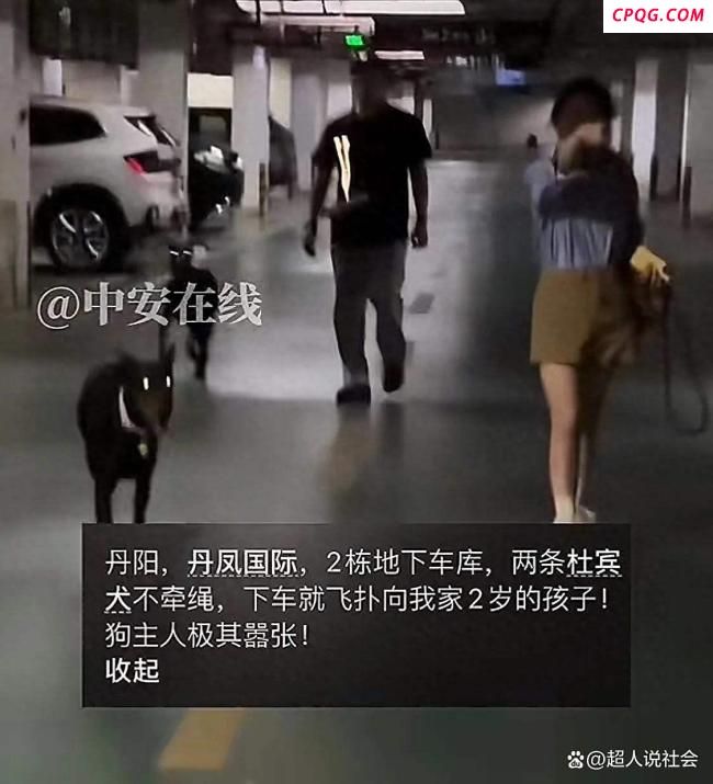 狗飞扑刚下车的2岁幼童