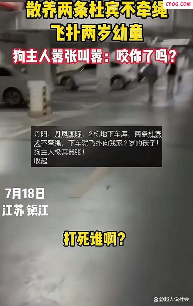 狗飞扑刚下车的2岁幼童 无绳遛狗引发争执