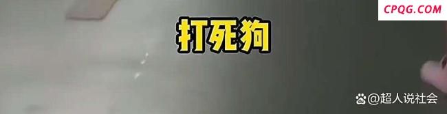 狗飞扑刚下车的2岁幼童 无绳遛狗引发争执