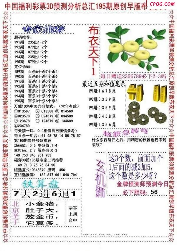 早版布衣2025195期3d图谜