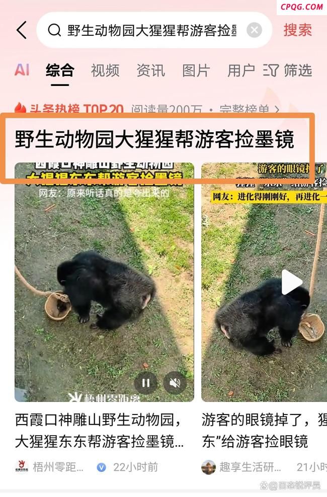游客眼镜掉落猩猩帮捡回