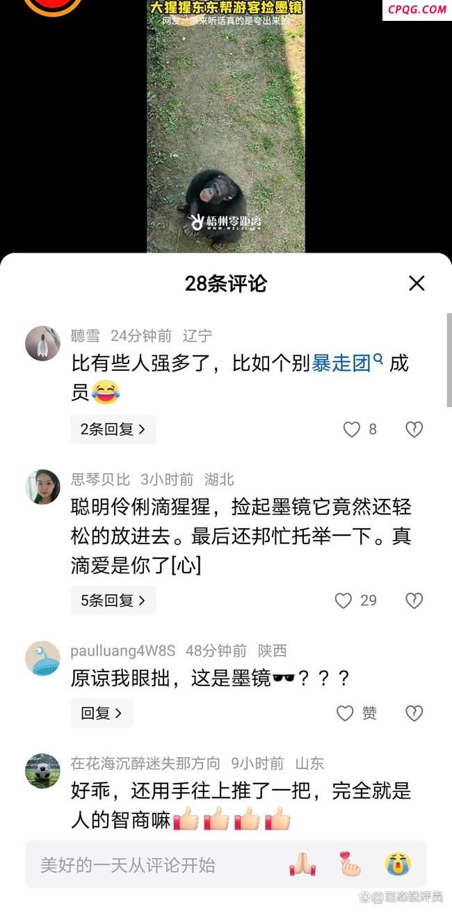 游客眼镜掉落猩猩帮捡回 暖心一幕获网友点赞