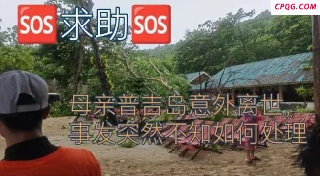 普吉岛一中国女游客被树砸中去世