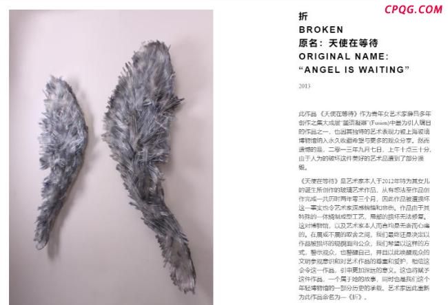 熊孩子损坏展品视频博物馆播放12年 警示作用持续引发关注
