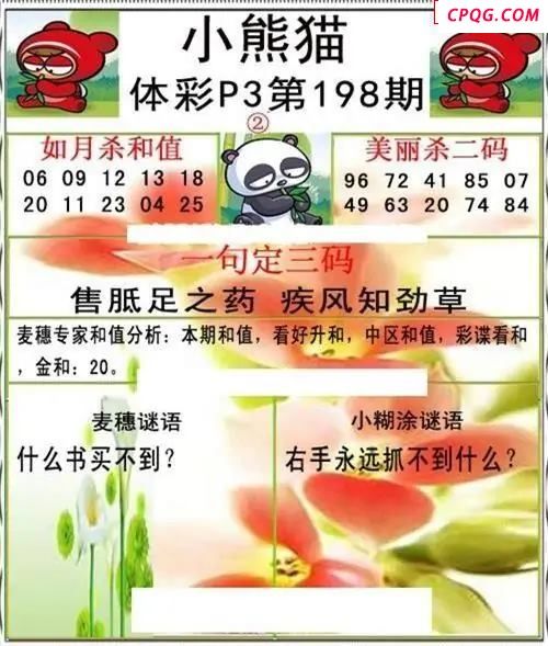 小熊猫2025198期体彩P3图谜