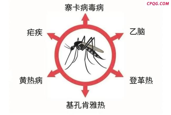 顺德新增310例基孔肯雅热确诊病例 疫情加速扩散引发关注