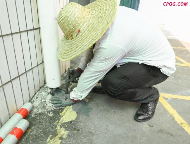 什么是基孔肯雅热 蚊媒传染病解析