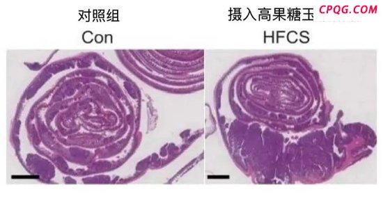 特朗普配方，被拒了？