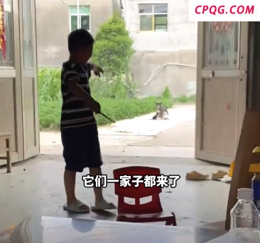 男孩给小狗喂水 狗妈妈带小狗来投奔