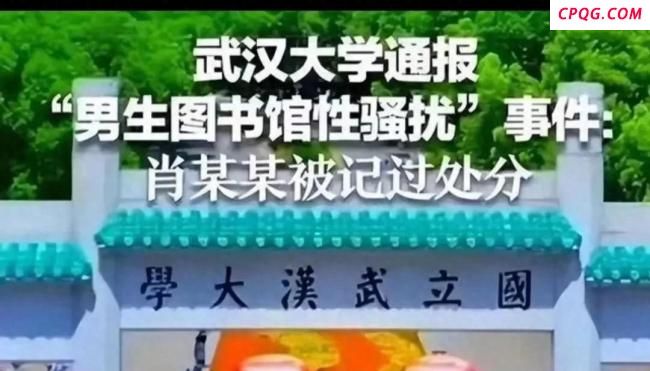 武大称未关注到杨某某学术不端质疑
