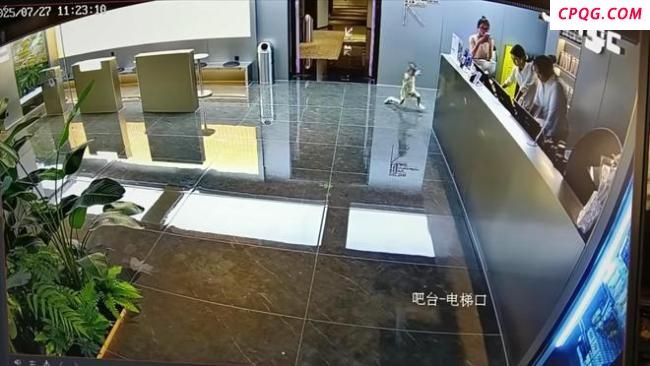 小孩在酒店磕伤 酒店拒赔引家长不满 宝妈曝光引发舆论反转