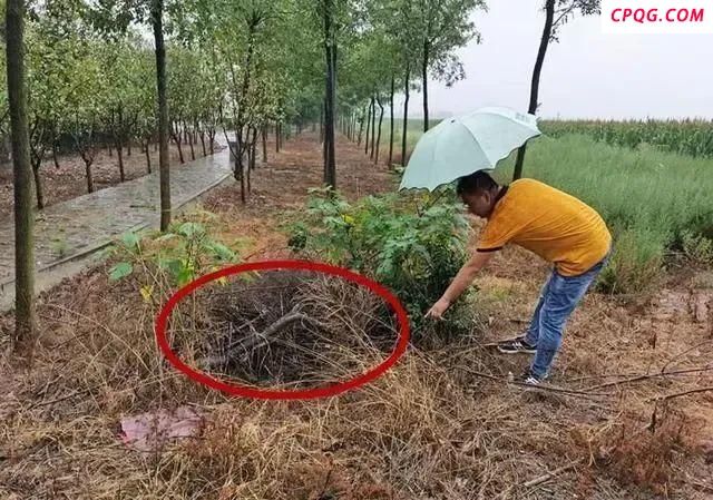 女老师新婚后遇害 警方掘坟做DNA鉴定 案发22年终再审