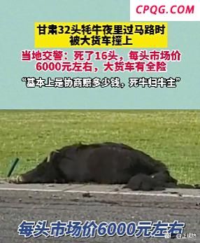 大货车撞死16头牦牛 每头市价约6千