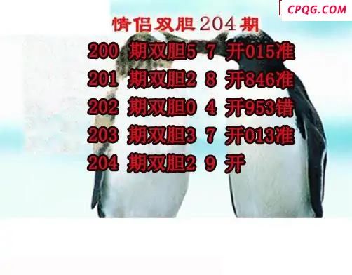 情侣双胆2025204期3d图谜