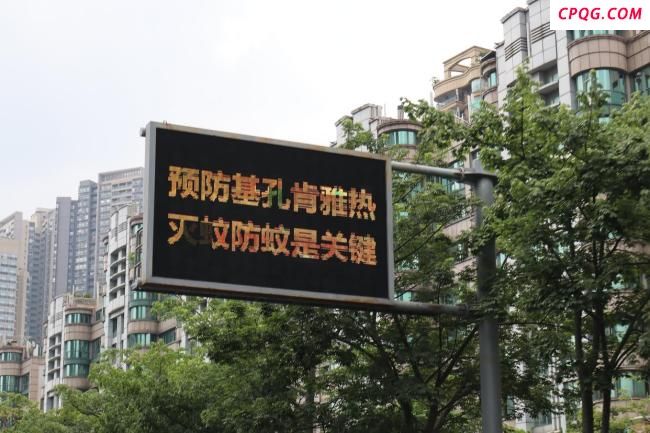 实探基孔肯雅热三级响应镇