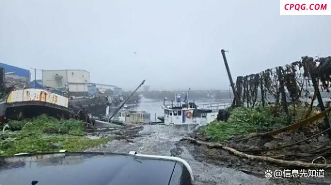 俄罗斯民众遛狗遇海啸快速逃离 洪水瞬间涌入街道