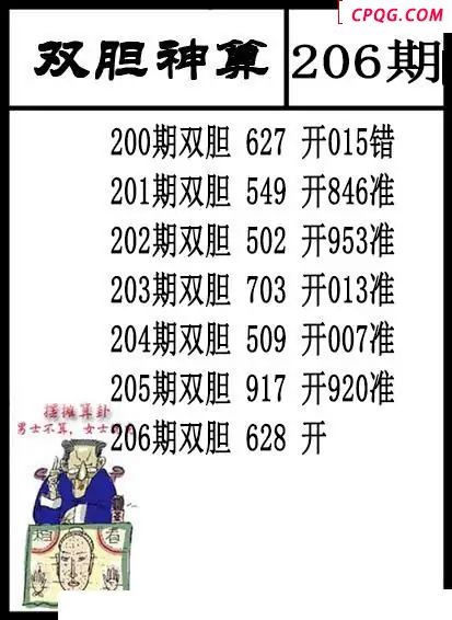 双胆神算2025206期3d图谜