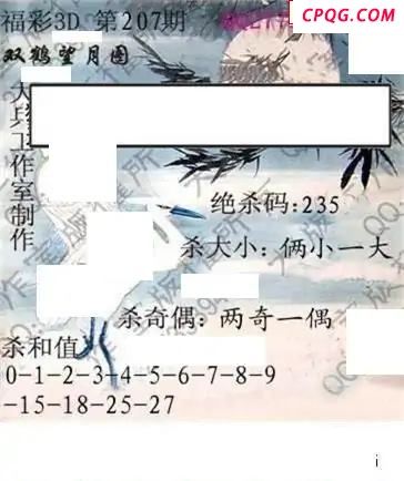 大兵全版2025207期3d图谜