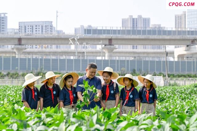 “田间课堂”学农识