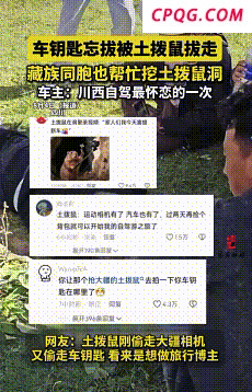 游客车钥匙不慎被土拨鼠叼走 网友：下次该偷叼驾照了！