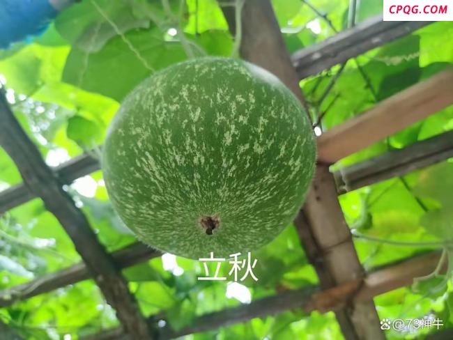 夏季最后一天，记得1不洗2不做吃3样