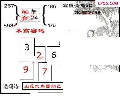 九宝船图+不离密码寻码图2025207期3d图谜