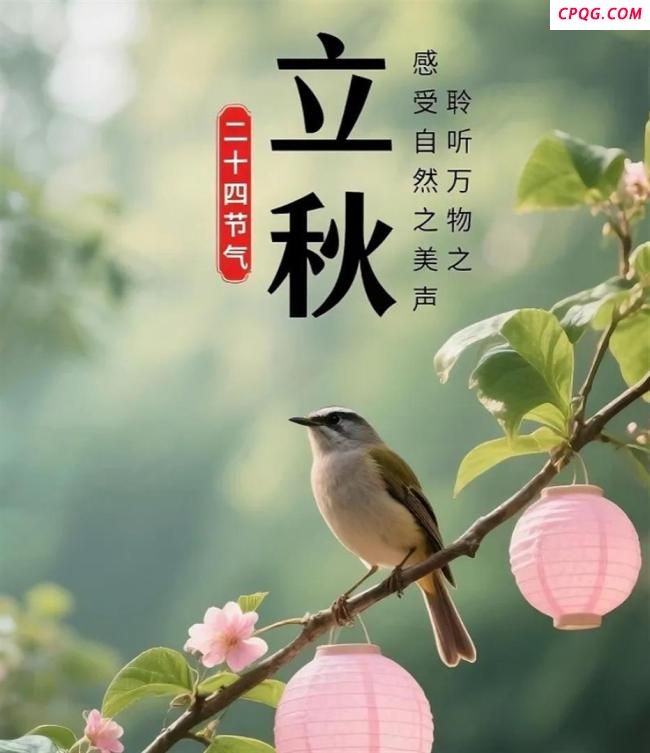 立秋下雨好还是不下雨好