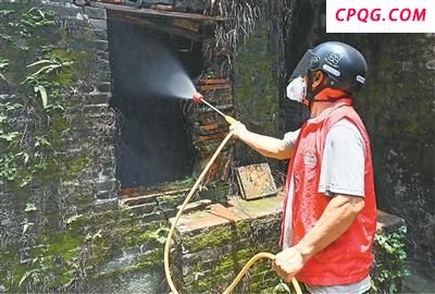 来势汹汹的基孔肯雅热如何防治