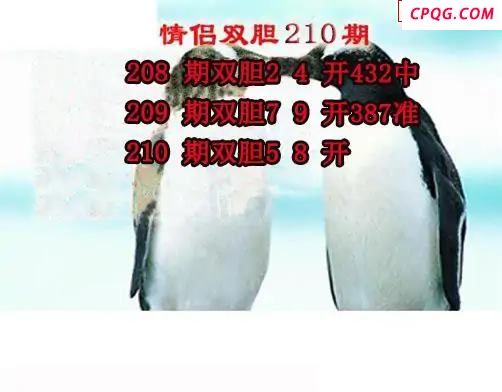 情侣双胆2025210期3d图谜