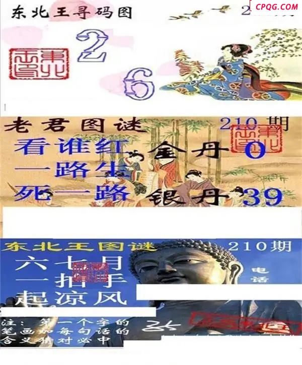 东北王寻码图2025210期3d图谜