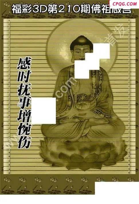 佛祖真言2025210期3D图谜
