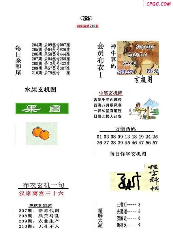 真精华布衣报2025210期3d图谜