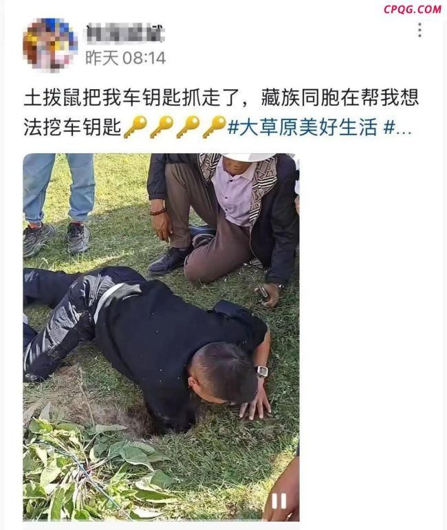 游客自驾游车钥匙被土拨鼠“叼走”