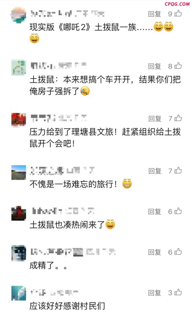 游客自驾游车钥匙被土拨鼠“叼走” 调皮土拨鼠引发趣事