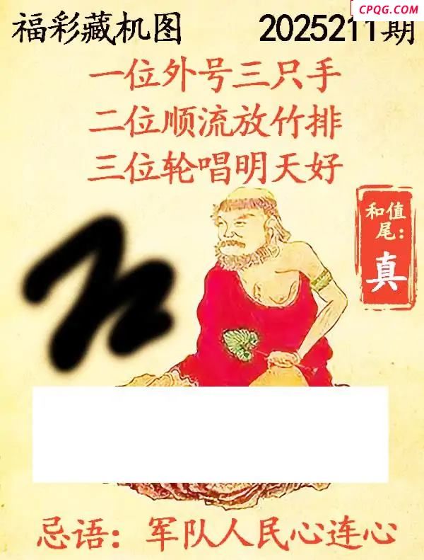 藏机图2025211期3d图谜