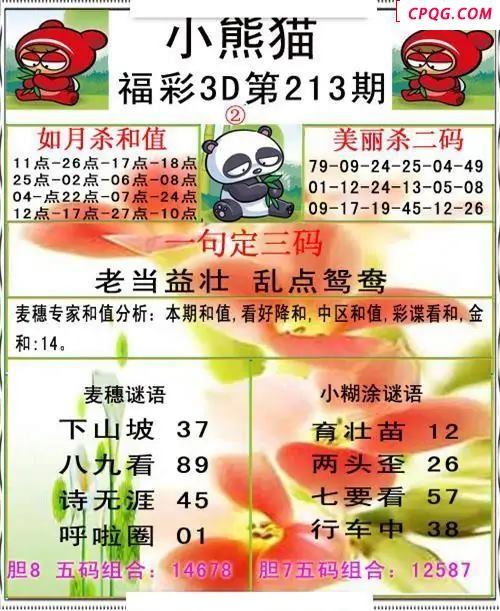 小熊猫彩报2025213期3d图谜