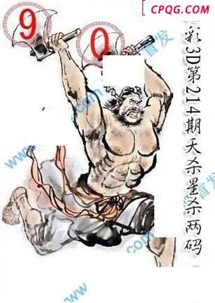 天杀星杀码2025214期3D图谜