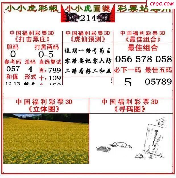 小小虎彩报2025214期3d图谜