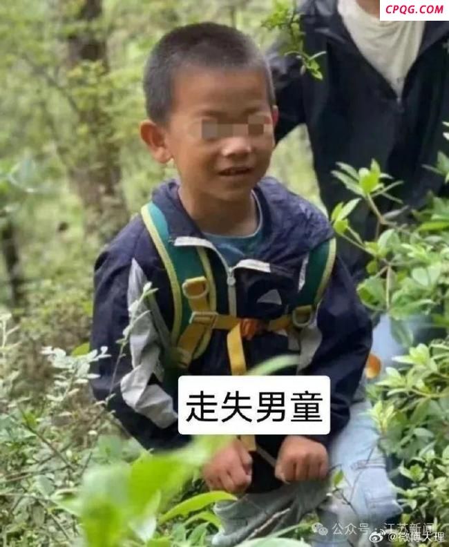 8岁自闭症男孩大理苍山失联 多方力量全力搜救
