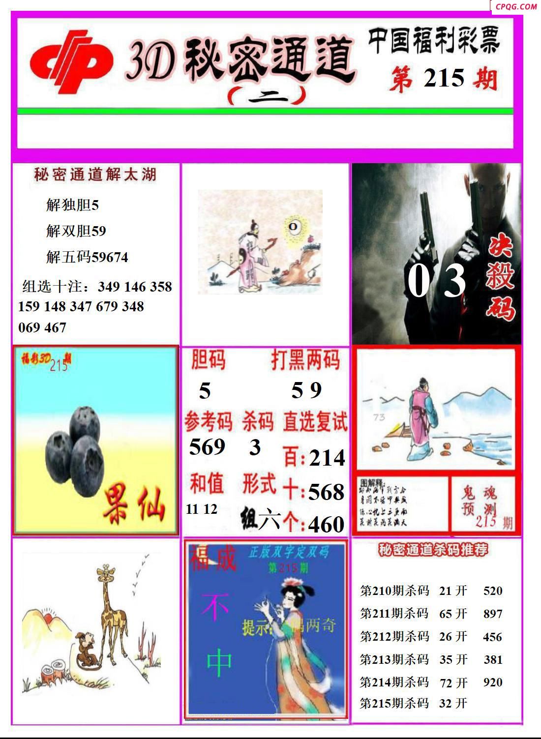 秘密通道2025215期3d图谜