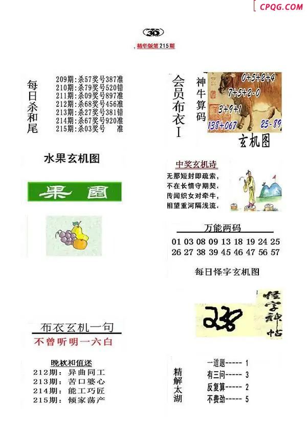 真精华布衣报2025215期3d图谜