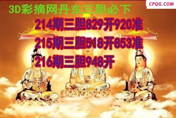 丹东三胆2025216期3d图谜