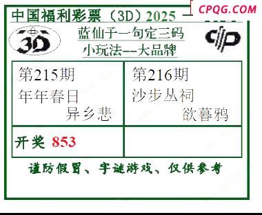 2025216期蓝仙子一句定三码