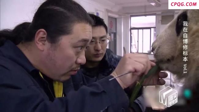 自然博物馆标本被人摸了？为什么不能摸？