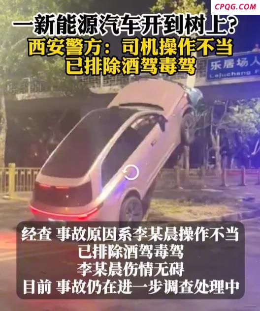 女子将新能源汽车开上树 警方回应