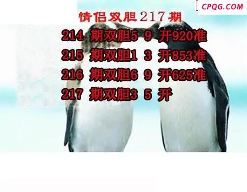 情侣双胆2025217期3d图谜